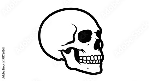 Bold Line Art Depiction of a Human Skull