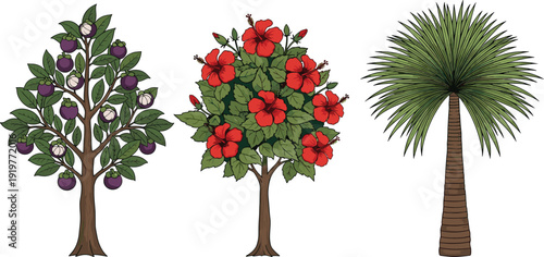 Fruit tree flowering hibiscus shrub and palm tree illustration set, colorful tropical and garden plants collection, botanical design elements isolated on white background