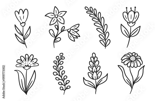 Cute flowers hand drawn illustration set. Collection of simple Spring flower icon doodle. Flower and leaves line art doodle vector elements. Flowers background with daisy, tulip, lavender, foliage.