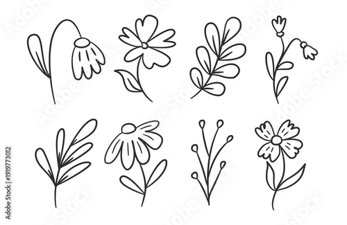Cute flowers hand drawn illustration set. Collection of simple Spring flower icon doodle. Flower and leaves line art doodle vector elements. Flowers background with daisy, tulip, lavender, foliage.