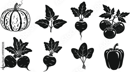 Set of hand-drawn vegetable silhouettes including pumpkins, beets, tomatoes, spinach, and bell peppers, isolated on a white background, perfect for farm fresh food design.