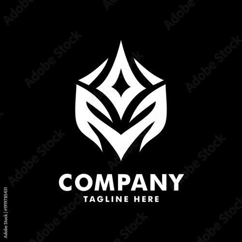 Abstract Sharp Geometric Shield Logo Design