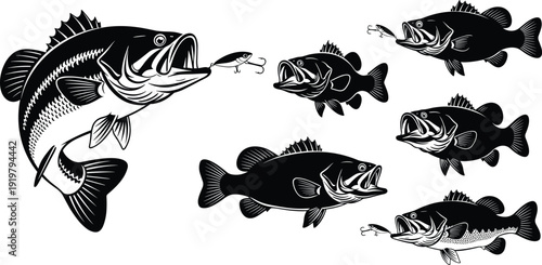 Bass fish silhouette collection, largemouth fishing vector set with jumping and attacking poses isolated on white background