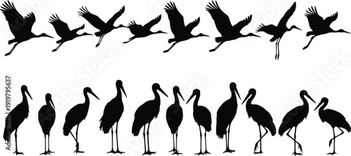 Crane silhouette bundle in flight and standing, elegant wading bird vector collection isolated for wildlife and nature design