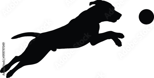 Silhouette, dog, jumping, ball, playful, active, agility, pet, animal, motion, energy, training, fetch, sport, dynamic