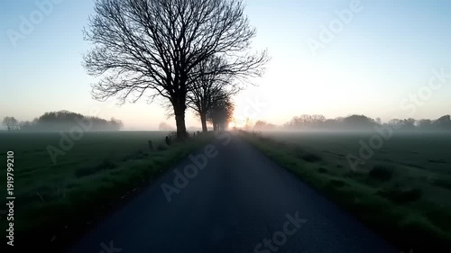 Misty Road with Trees at Dawn.