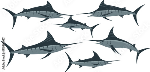 Blue Marlin and Sailfish Vector Illustration Set Featuring Majestic Game Fish in Dynamic Poses for Sport Fishing Graphics and Marine Life Design Projects