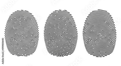 Detailed human fingerprint vector set with realistic forensic ink ridge patterns for security and identification design