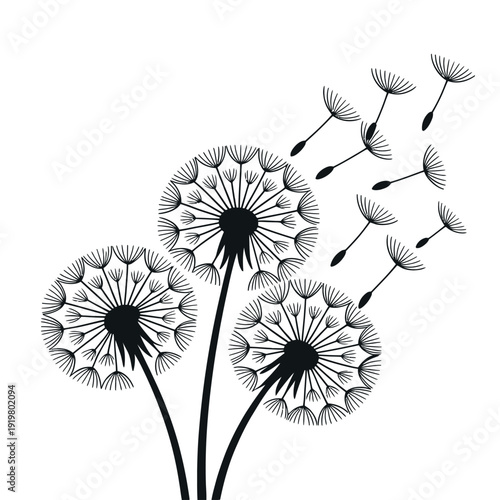 Cluster of bright red rowan berries hangs from a stem with dark green leaves above.
