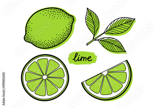 A vibrant collection of minimalist hand-drawn lime illustrations, featuring whole fruit, zesty slices, and delicate leaves captured in a refreshing green and black aesthetic