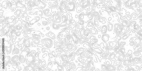 Gray abstract topographic contour lines pattern on white background  seamless design element