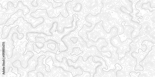 Gray topographic map contour lines on white background texture pattern