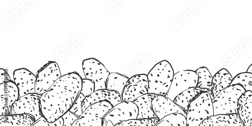 Black and white banner with hand drawn sketched potato tubers. Line art style vector illustration. Background for packaging design, websites and blogs, coloring books.