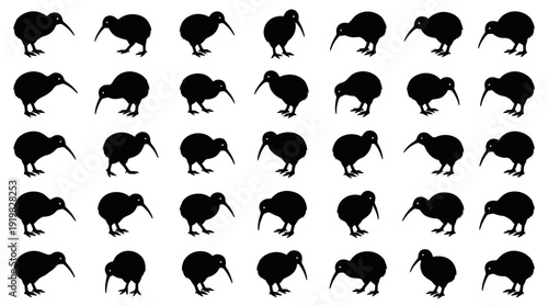 Big Black Kiwi Bird Vector Silhouette Collection. Large set of wild animal icons and shapes in various standing, walking, and foraging poses isolated on a white background.