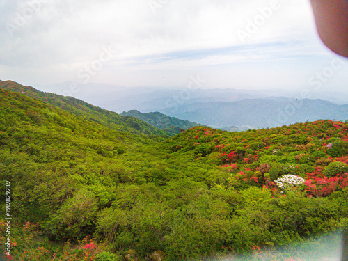 Azaleas on Dawei Mountain in Liuyang
The April wind woke the mountains.
The Rhododendron in Dawei Mountain finally ushered in a grand flowering period.
