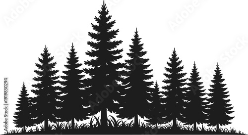 Black pine forest silhouette with grass, evergreen tree landscape vector illustration isolated on white background for nature, woodland, and outdoor design projects