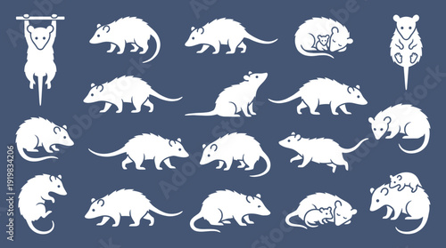 Opossum vector white silhouette set on dark background. Possum icons in various poses walking, hanging, sleeping, and mother carrying babies for wildlife animal design.