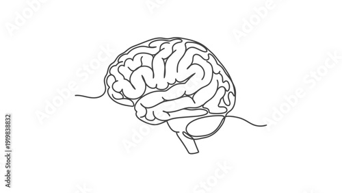 Human Brain Illustration Medical Anatomy.