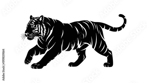 Black Tiger Walking Forward Slowly.