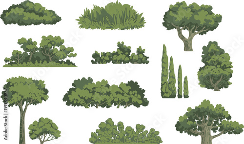 Green trees and bushes vector collection, detailed garden shrubs and forest plants set isolated on white background for landscape and park design projects