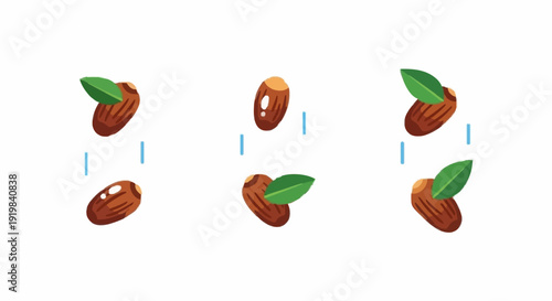Coffee beans with leaves arranged in a pattern on a white background from a top view