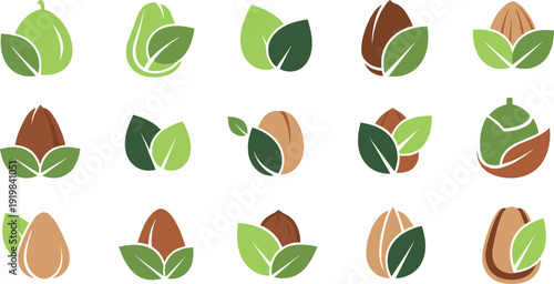 Stylized nut and leaf icon set with almonds, walnuts, hazelnuts, and organic food symbols illustrated in clean modern flat vector style