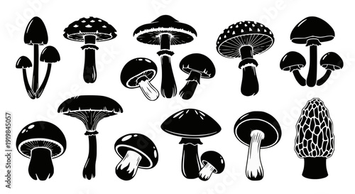 Silhouetted whisk, a bold vector graphic showcasing the essential form of a kitchen utensil with clean lines, perfect for recipe websites and food blogs, on white.