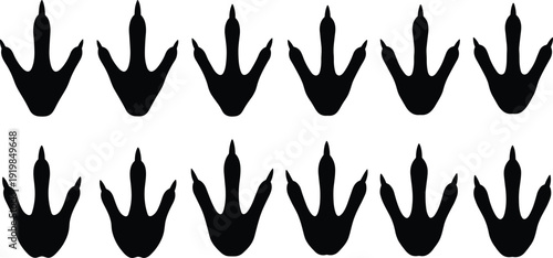 Set of black bird footprints and dinosaur paw silhouettes isolated on white background for nature tracking wildlife path and prehistoric animal foot print vector