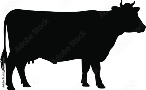 Black silhouette of a dairy cow standing on white background animal mammal