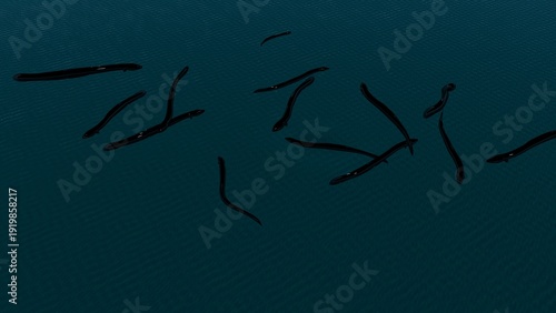 Anguilla eel fish anatomy with colorful background. 3d render