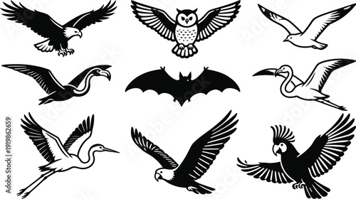 Monochrome Flying Avian and Bat Winged Creature Silhouette Set