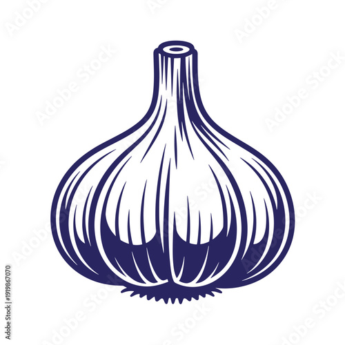A large bulb of garlic with a thick skin and a long stem on top  commonly used in cooking for its flavor and health benefits