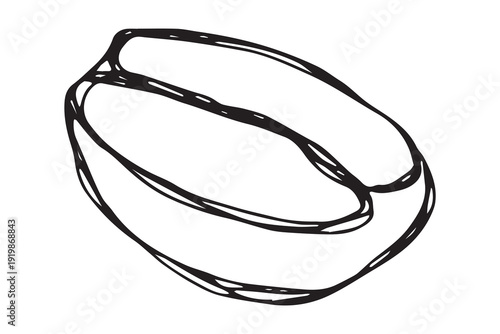 Hand drawn fresh roasted coffee bean Arabica robusta seed doodle Single element for print, web, design, decor