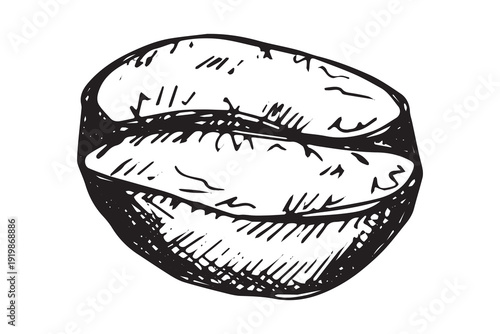 Hand drawn fresh roasted coffee bean Arabica robusta seed doodle Single element for print, web, design, decor