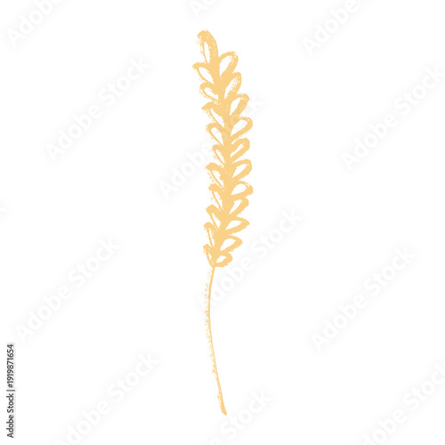 Hand drawn cereal wheat oat rye barley rice ears spikelet clipart Organic wheat bread agriculture farming harvest healthy food Single element for print packaging label design decor