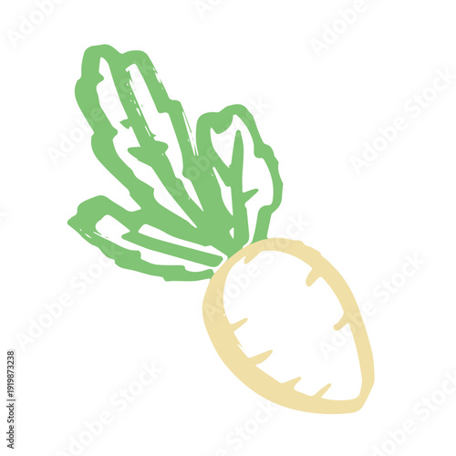 Hand drawn farm daikon radish plant with green leaves Fresh vegetable doodle Healthy eco food Organic garden vegetarian food For design, print, packaging, decor, kids books