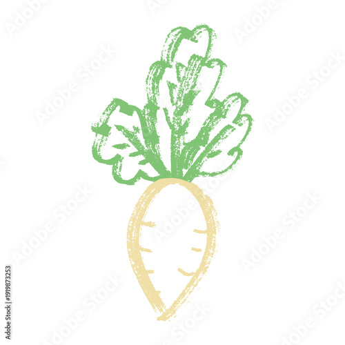Hand drawn farm daikon radish plant with green leaves Fresh vegetable doodle Healthy eco food Organic garden vegetarian food For design, print, packaging, decor, kids books