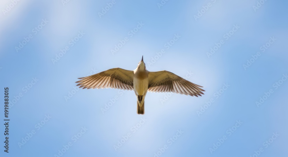 Obraz premium A bird in flight against a clear blue sky.