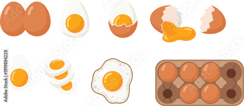 Egg Collection Vector Illustration, Whole, Cracked, Fried and Sliced Chicken Eggs with Carton Packaging Isolated on White