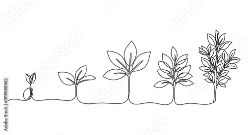 Illustration showing plant growth stages from seed to tree in one line