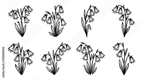 bluebell, bold style black Hand drawn set collection , white background , vector isolate