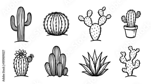 desert cactus, bold style black Hand drawn set collection , white background , vector isolate
