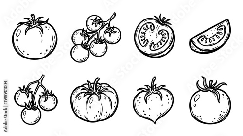 tomato, bold style black Hand drawn set collection , white background , vector isolate