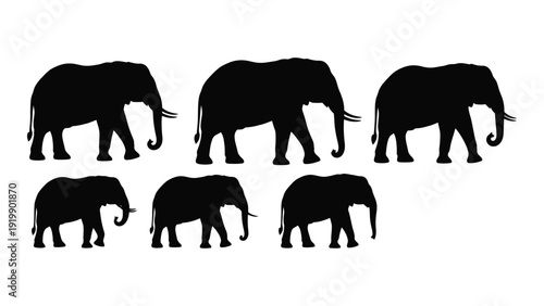 A group of elephants of varying sizes walking in a line against a white background. isolated on white background, Vector