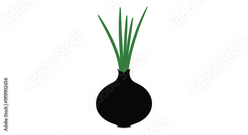 A simple graphic illustration depicts a black silhouette of an onion with bright green upward reaching shoots high quality