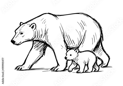 polar bear hand drawn simple sketch vector illustration