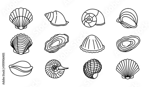 Seashell Thin Line Icon Set Marine Mollusk Shell Contour Vector Collection Transparent Background