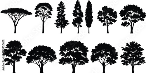 Collection of twelve diverse tree silhouette illustrations arranged in rows, featuring narrow and broad canopy forms, ideal for botanical studies, landscape design, and artistic references.