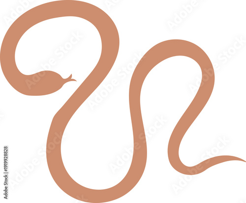 Rustic Bohemian Wildlife Clipart, Earthy Jungle Creatures Collection