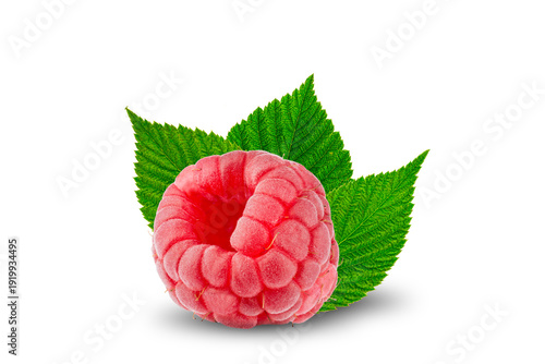 Fresh Raspberries with Green Leaves Isolated on White Background, Macro Product Photography. Ideal for food packaging, healthy eating concepts, organic product branding, juice and smoothie advertising